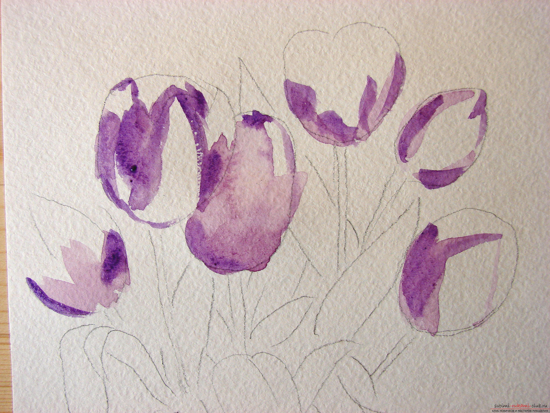 Мастер-класс по рисованию с фото научит как нарисовать цветы, подробно описав как рисуются тюльпаны поэтапно.. Фото №3